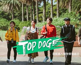 葫芦娃视频《TOP DOG》免费在线观看