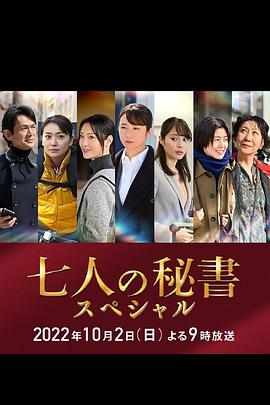 葫芦娃视频《七个秘书 特别篇 七人の秘書スペシャル》免费在线观看