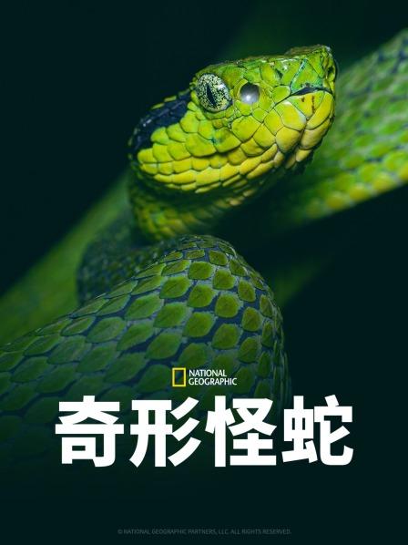 葫芦影业《奇形怪蛇》免费在线观看